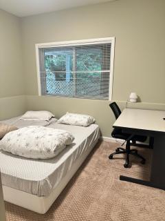 Spacious Basement with independent entry and yard - 6