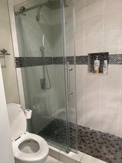 Spacious Basement with independent entry and yard - 4