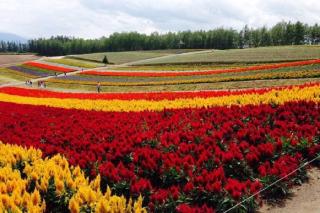 Ark City Asahikawa - Vacation STAY 8526 - 4