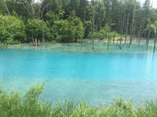 Ark City Asahikawa - Vacation STAY 8526 - 1