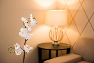 Executive Apartment - Budapest - 1