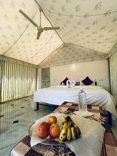 Patel Heritage Resort - 5