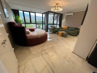 DL Business Studio - Panorama View - 4