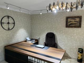 DL Business Studio - Panorama View - 2