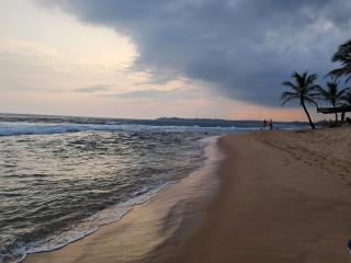 Silent Peacock Villa And Restaurant - 5