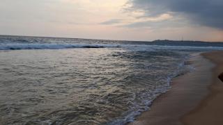 Silent Peacock Villa And Restaurant - 4