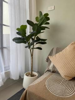 Cozy and Elegant 2BR 1BA Home 2 mins from Dahican Beach - 1