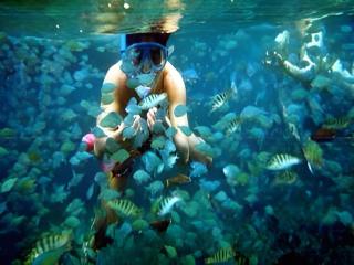 67th Heaven Holiday Resort - 2