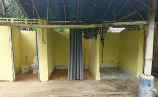 Gaarawe, Khao Sok, Surat Thani Province, Thailande - 8