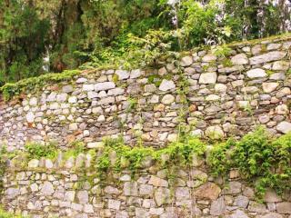 Dali Five Elements Hostel - 2