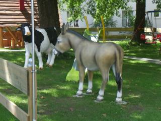 Hotel Heuschober - 1