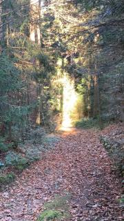 Haus zum Kranich, traditionelles, charmantes, ehemaliges Bauerngasthaus - 8