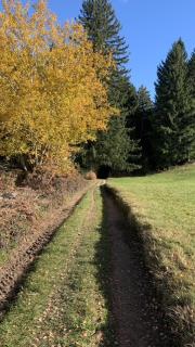 Haus zum Kranich, traditionelles, charmantes, ehemaliges Bauerngasthaus - 7