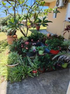 ChezRoselineetChritian - 7