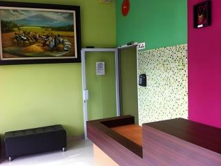 Pineapple Mansion - 8