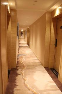 ST. MORITZ BUSINESS HOTEL - 5