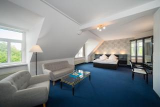 Ahauser Landhotel - Alstätte - 8