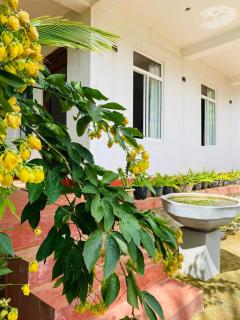 Ella Hidden Ferns - 2