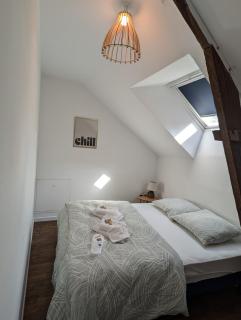 Charmant appartement en plein centre ville - 6