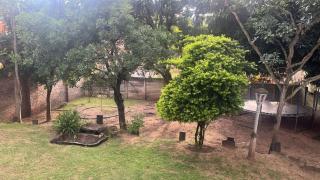 Green Trees Cottage - 7