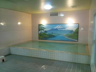 Tokyo Business Hotel - 9