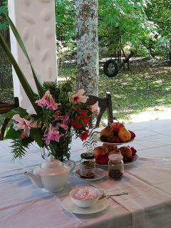 PURA VIDA - Amazing Villa with 4 bedrooms for up to 11 guests close to beach - 1