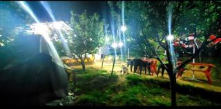 Organic Stays Manali - 0