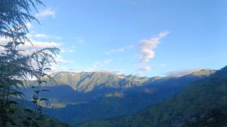 Organic Stays Manali - 5