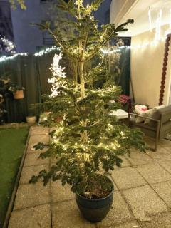 Le jardin du stade by UTA HOUSE - 7