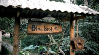 The Nest - Homestay bên suối nhỏ - 6