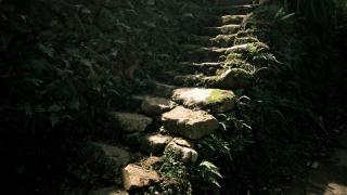 The Nest - Homestay bên suối nhỏ - 4