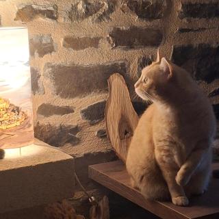 Maison Sérénité et Nature près du Mont Saint Michel - 4