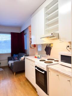 Large Group Fireside Cabin - 4