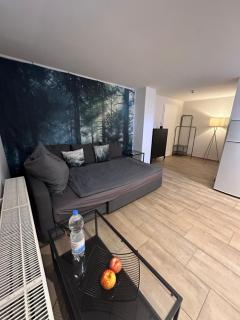 Montage- Pendlerwohnung Kandern, Lörrach, Basel D,CH,FR - 9