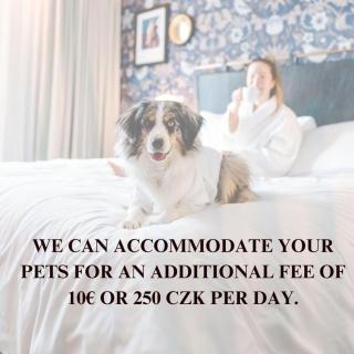 Penthouse with terrace near the center of Prague - 9