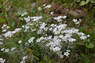 Almhaus Am Hohenwart - 6