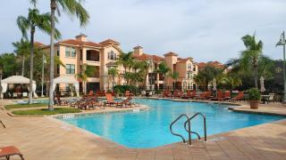 Grand Venezia Clearwater at Tampa Bay - 9