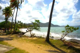Appartement confortable à Sainte-Luce 50 m² avec terrasse - 7