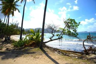 Appartement confortable à Sainte-Luce 50 m² avec terrasse - 6