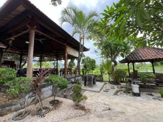 Rumi Bumi - Lovina Rice Terrace Retreat - 3