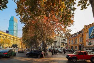 1BR Apartment w balcony on Rustaveli Avenue - 8