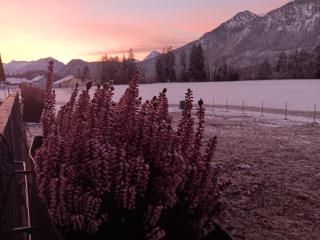 Ferienwohnung Landliebe - 2