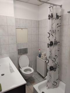 FLEX Aparts - große, möblierte Wohnung in Zwickau mit 2 Zimmern - 3