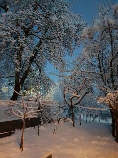 Ferienhaus für 4 Personen ca 65 qm in Brod Moravice, Gespanschaft Primorje-Gorski Gorski kotar - 8