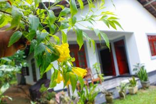 Mountain Breeze Inn Midigama - 8