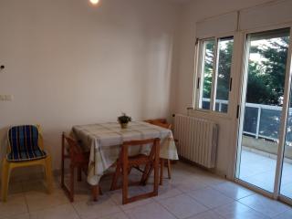 furnished three bedrooms apt at Ballouneh - 1