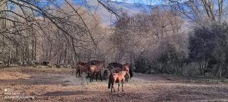 El Rincón de Gredos - 2