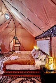 Sahara Desert Camp - 6