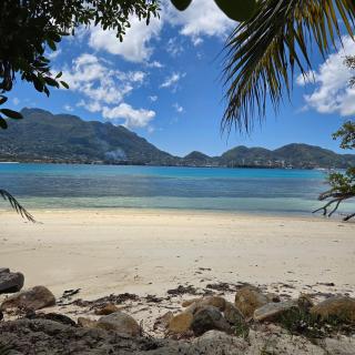 Surf Tropical Villa Seascape - 6