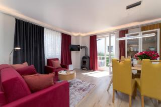 Villa Nause-FeWo Buchenfreund mit Spa und Freizeit - 4